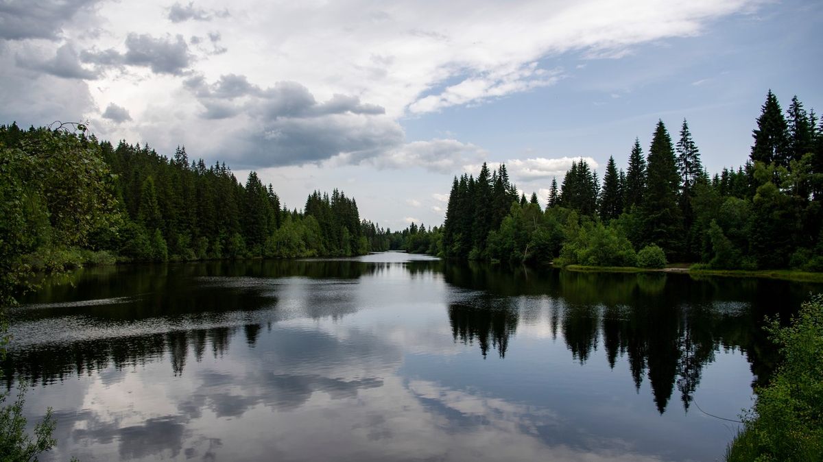Jiřická nádrž v Novohradských horách se stane zvláště chráněným územím